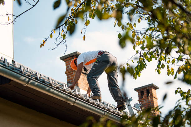 Best Local Roofing Companies  in Georgetown, CO