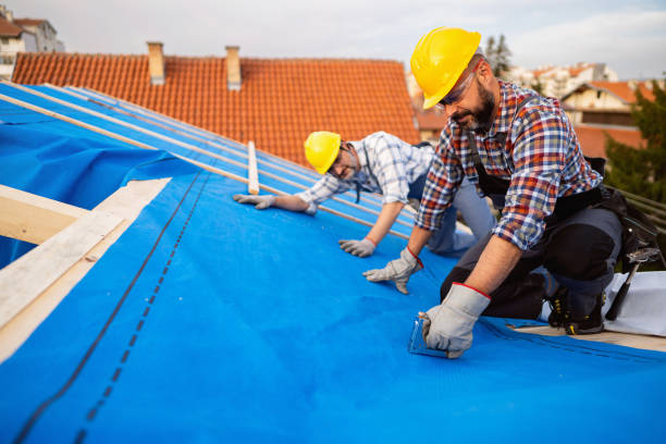 Best Flat Roof Repair Services  in Georgetown, CO